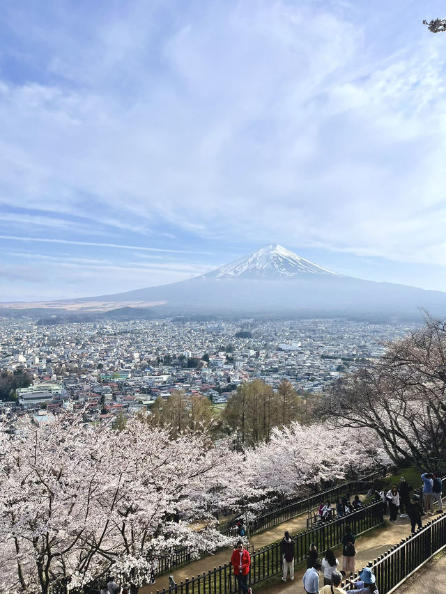 Touched the clouds at Mount Fuji – Japan’s timeless icon 🇯🇵✨