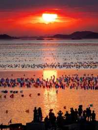 🌴 Koh Samui: Fall in Love with Thailand’s Island Paradise 🌴