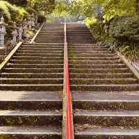 🌿 Solo Escape: Nakai-machi – Kanagawa’s Hidden Mountain Gem