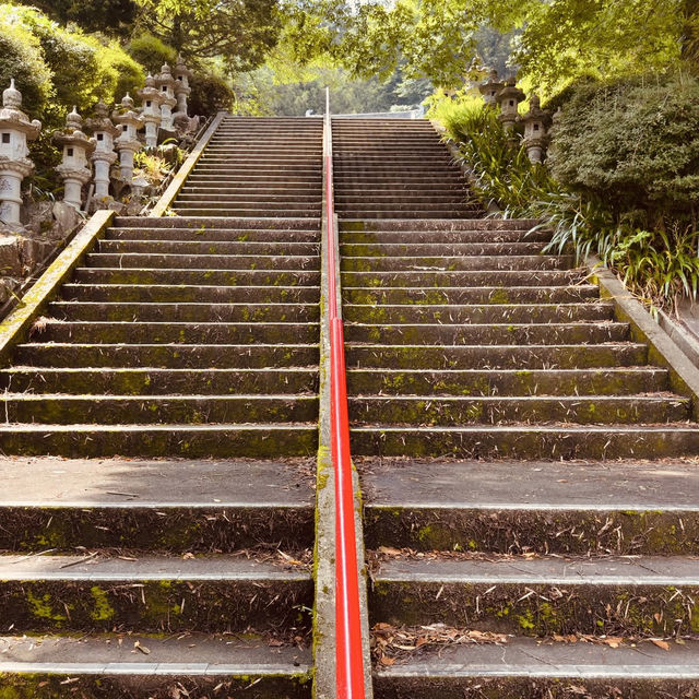 🌿 Solo Escape: Nakai-machi – Kanagawa’s Hidden Mountain Gem