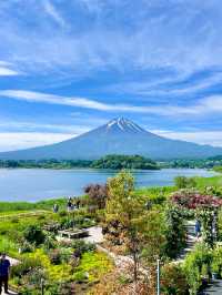 🌿✨ รีวิว Oishi Park (大石公園) ต้นเดือนมิถุนายน  