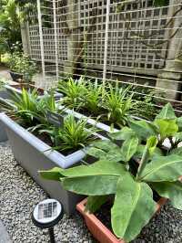 Green Escape in the City – Fullerton Farm & Outdoor Yard