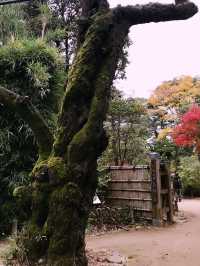 【東京　中野　哲学堂公園 】