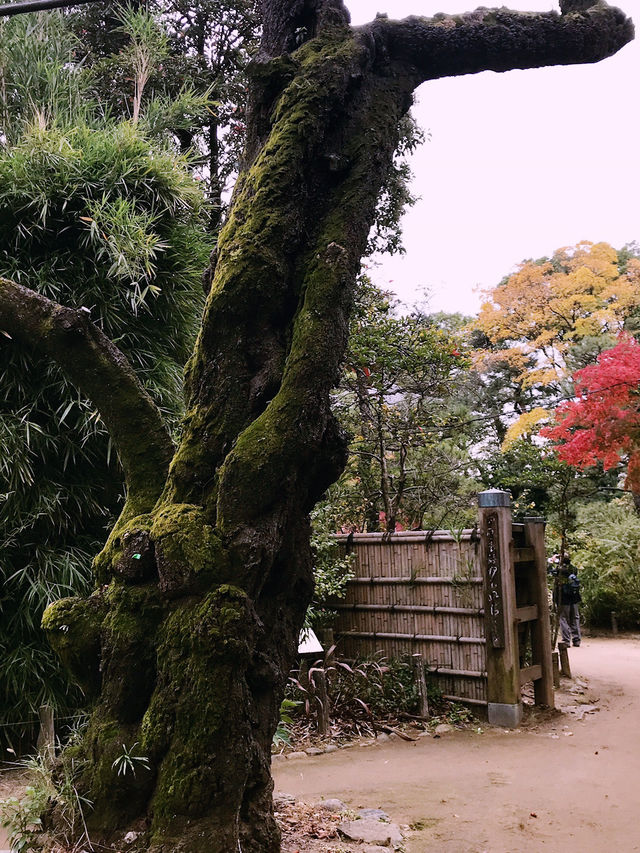 【東京　中野　哲学堂公園 】