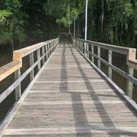 Caddo Lake State Park – East Texas