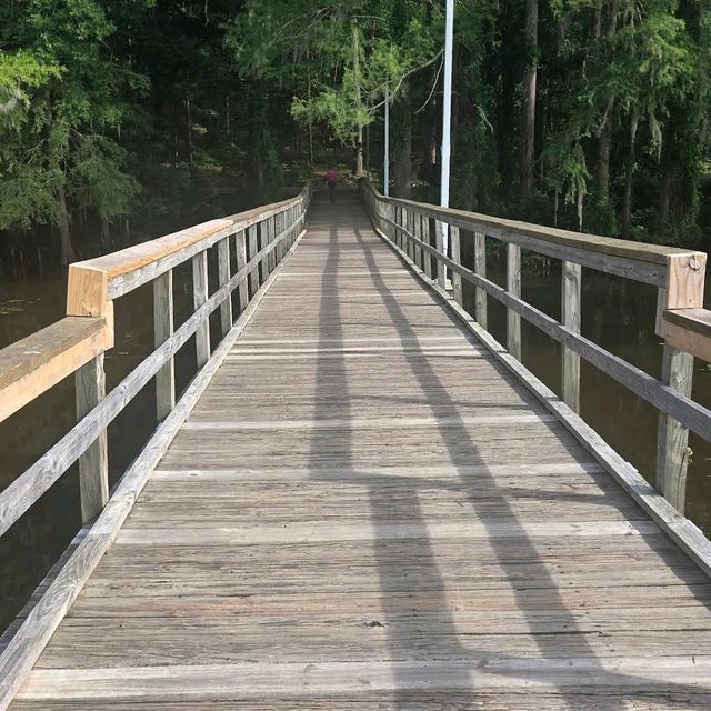 Caddo Lake State Park – East Texas