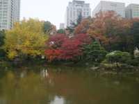 秋意盎然的都心秘境日比谷公園