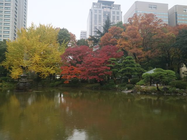 秋意盎然的都心秘境日比谷公園