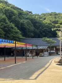 여름 경주 여행코스🌿
