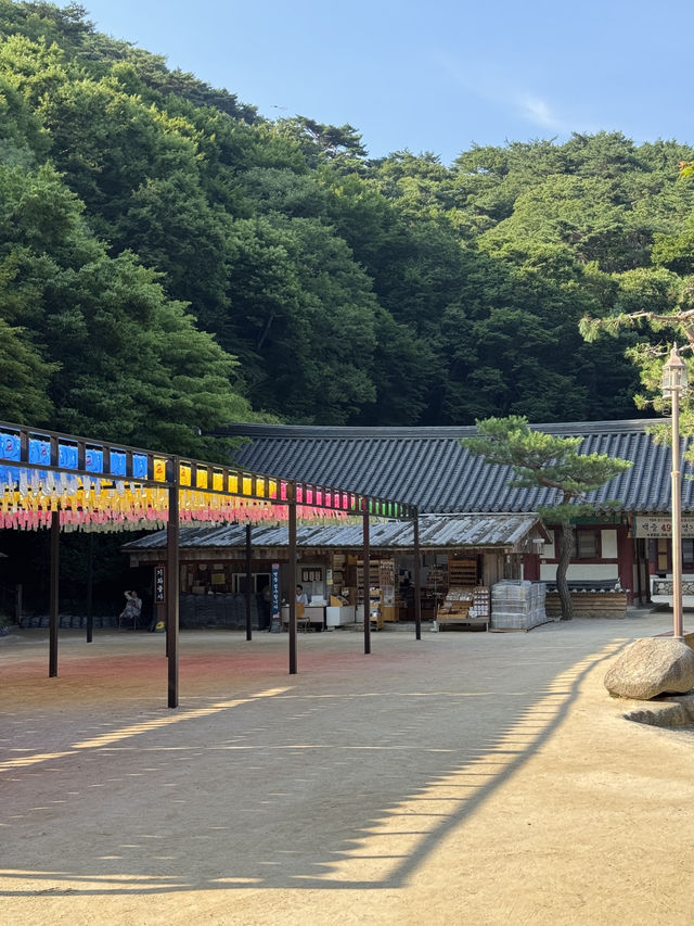 여름 경주 여행코스🌿