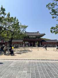 世界遺産のある街　水原 in 韓国 🇰🇷🏯