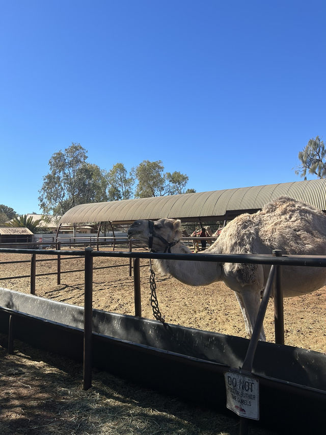 4 Days in Uluru