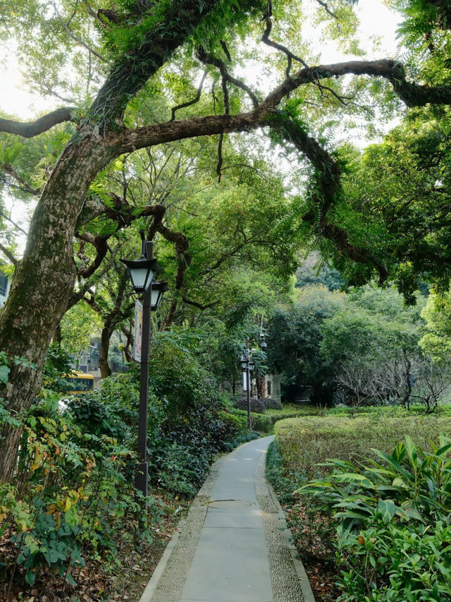 Xihu Park 🌺 