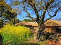 Step Back in Time – Seongeup Folk Village, Jeju 