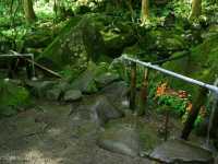 【山形】祠の背面の岩場から流れ出る滝！「胴腹滝」も涼感スポット
