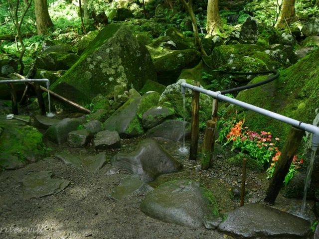 【山形】祠の背面の岩場から流れ出る滝！「胴腹滝」も涼感スポット