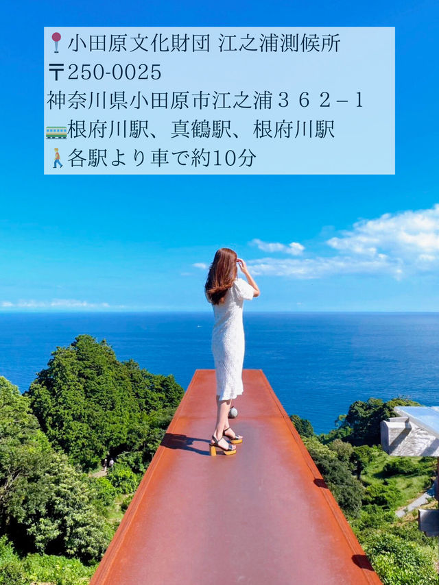 🖼知る人ぞ知る！自然の中にある博物館 in 小田原🖼