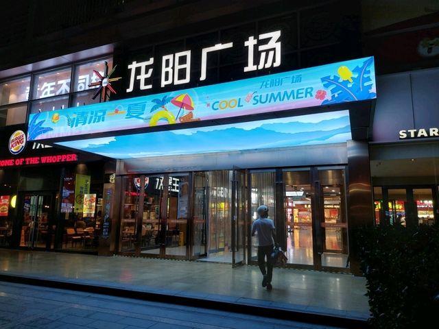 Shanghai Maglev Line 上海磁浮線列車（浦東機場１號２號航站樓←→龍陽路）往返