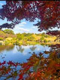 【水前寺成趣園】心がすっと整う、熊本の癒し庭園🌿