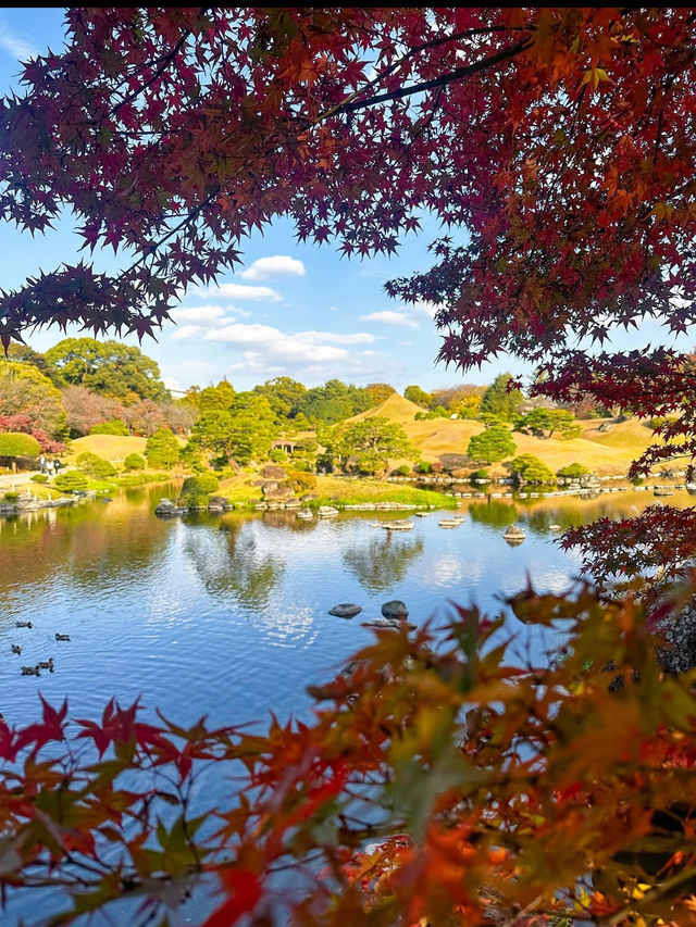 【水前寺成趣園】心がすっと整う、熊本の癒し庭園🌿