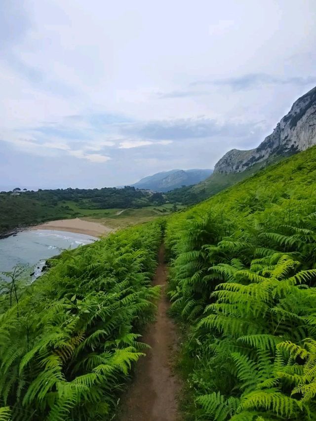 Hidden Beach Vibes at Playa de Arenal de Sonabia