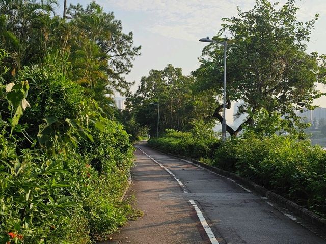 環境優美嘅城門河，無敵日落景色