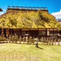 🏡 "Step Back in Time: Saiko Iyashi no Sato Nenba – Japan’s Picturesque Thatched-Roof Village