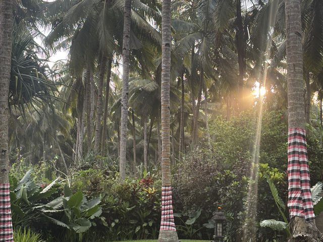 Surf, Sand, and Serenity: A Black Sand Escape in Bali 🥥