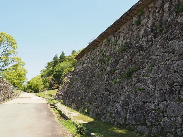 【球磨川】清流を駆け抜ける！スリルと癒しの川旅🚣‍♂️🌊