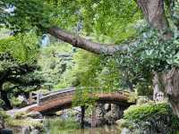 【京都】京都御所で味わう厳かな時間🌿