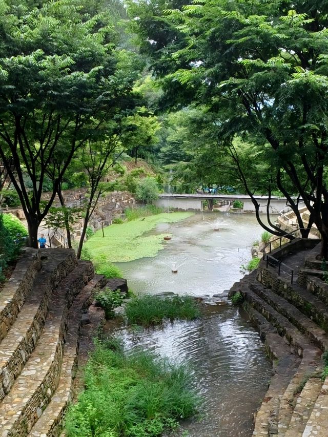 여름 산책의 청량한 기분
