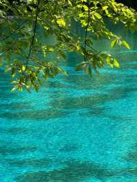 Jiuzhaigou: China’s Hidden Paradise of Colors