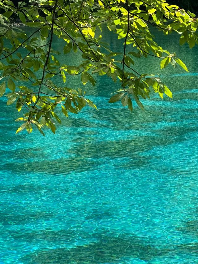 Jiuzhaigou: China’s Hidden Paradise of Colors