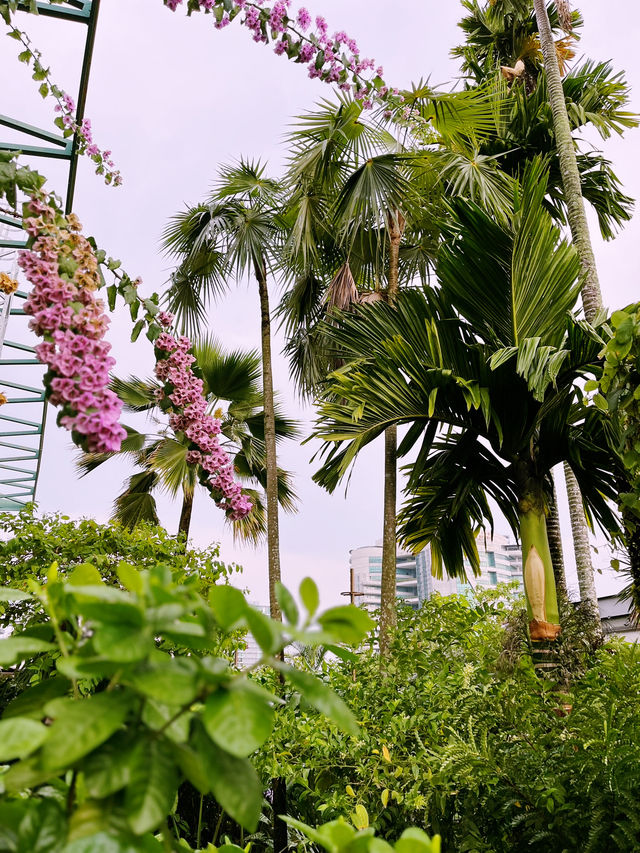 Secret Garden at 1 Utama: A Hidden Floral Paradise
