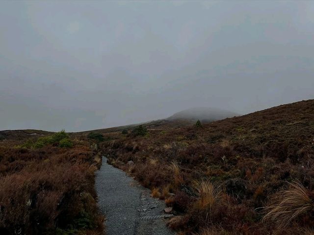 Volcano Views and Wild Vibes at Tongariro National Park