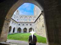 🏰중세 속으로: 아비뇽 교황청(Palais des Papes)