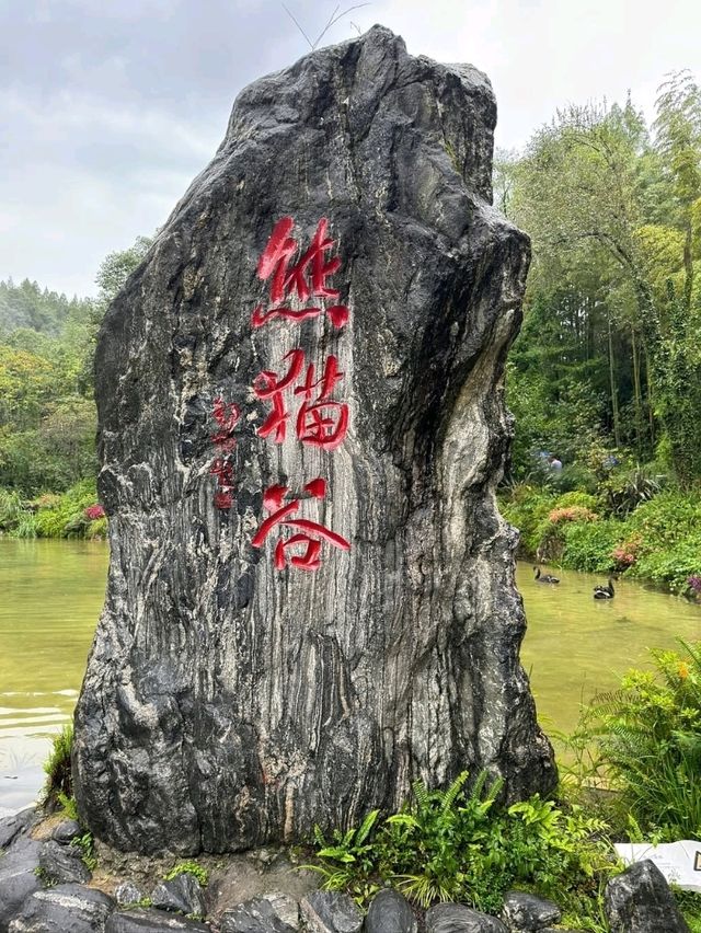 Panda Valley Dujiangyan Panda Valley Dujiangyan