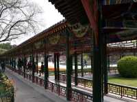 Zhongshan Park – The Imperial Ancestral Garden Turned People’s Paradise