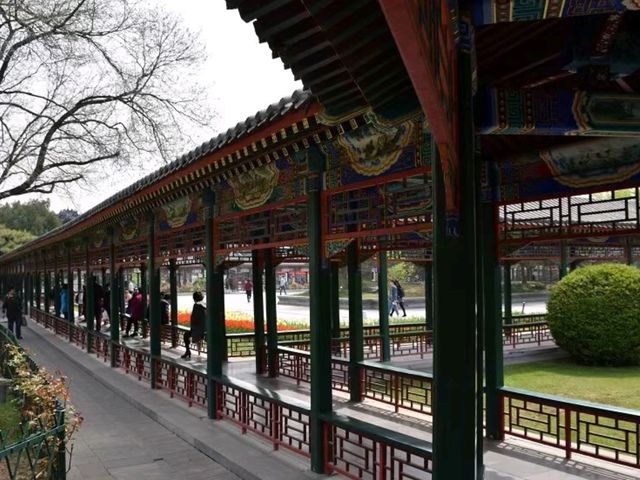 Zhongshan Park – The Imperial Ancestral Garden Turned People’s Paradise Zhongshan Park – The Imperial Ancestral Garden Turned People’s Paradise