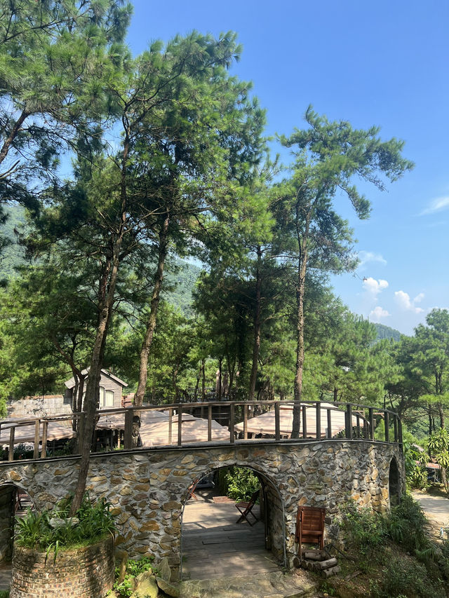 L’UM Coffee Hill (Đồi Llum)