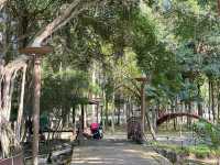 Cyberjaya Lake Garden – Nature in the City 🌳