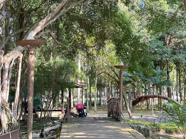 Cyberjaya Lake Garden – Nature in the City 🌳