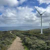 Western Australia-Wind Farm