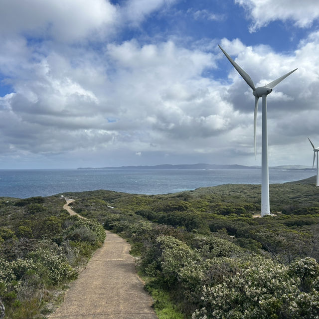 Western Australia-Wind Farm