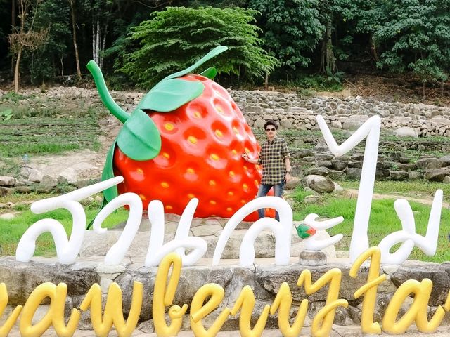 สวนละไม สวนละไม