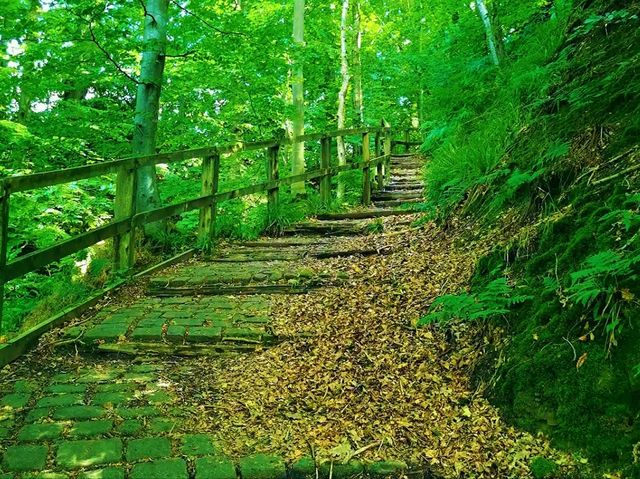 Boggart Hole Clough – Legends and Landscapes