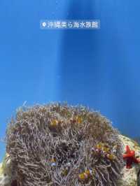 【沖縄】オススメスポット