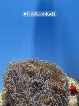 [Okinawa] Recommended spots