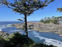Pacific Rim National Park Reserve 🌊🌲