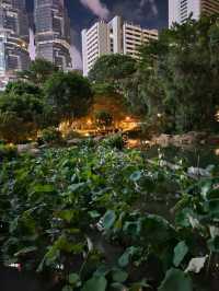 香港公園的陶瓷睡蓮